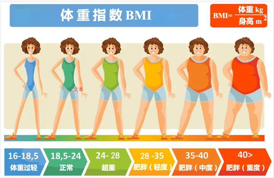 BMI 分类示意图